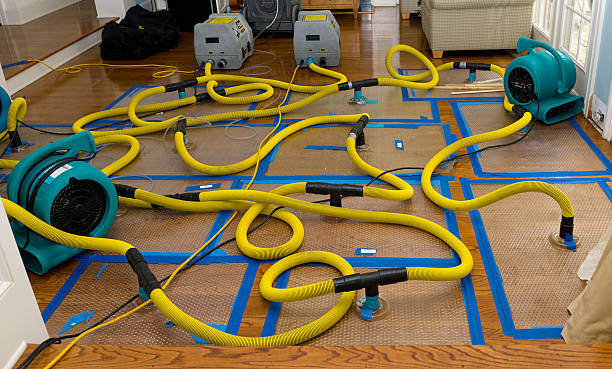 Professional Basement Flood Cleanup technician working in Abernathy, TX